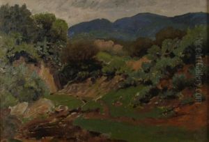 "canyon Stream"