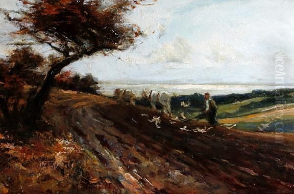 Autumn Ploughing - view 1