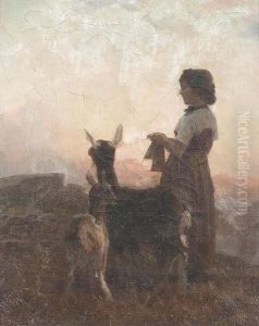 Junge Hirtin Mit Zwei Lamas In Der Abendsonne.