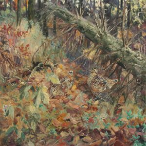 Woodcock In The Forest Floor by William Gislander