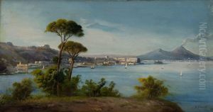 Veduta Del Golfo Di Napoli Da Posillipo