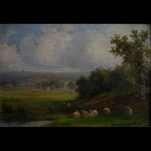 Sheep At Rest by Evelyn Gladys Vickers