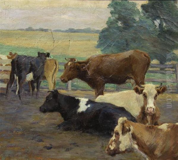Cows - view 1