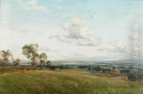 Figures On A Pathway In An Extensive Landscape - view 1