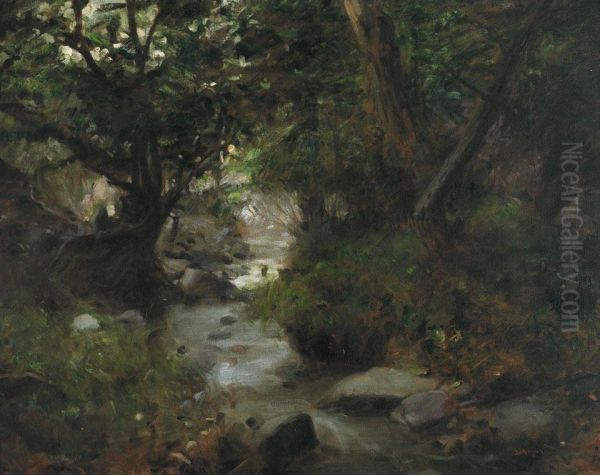 A Forest Stream - view 1