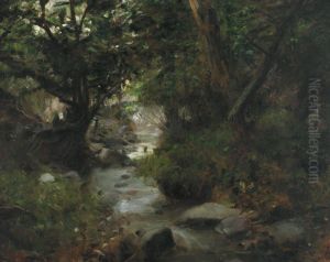 A Forest Stream by Gyvlia Glatter