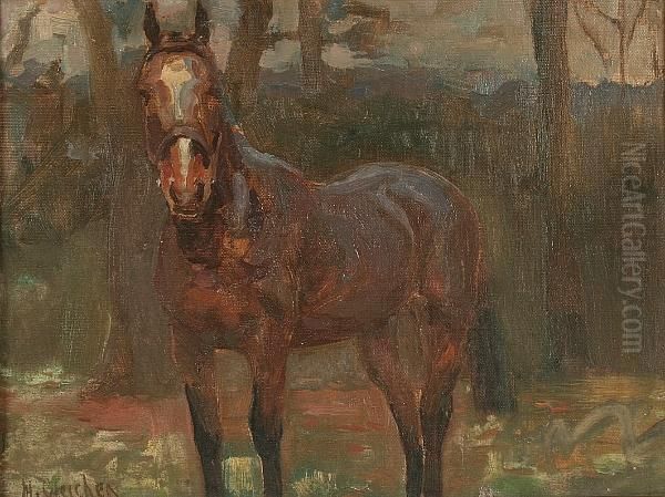 'bally Linda' - A Chestnut Mare - view 1