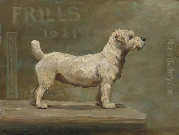 Frills - A West Highland Terrier - view 1