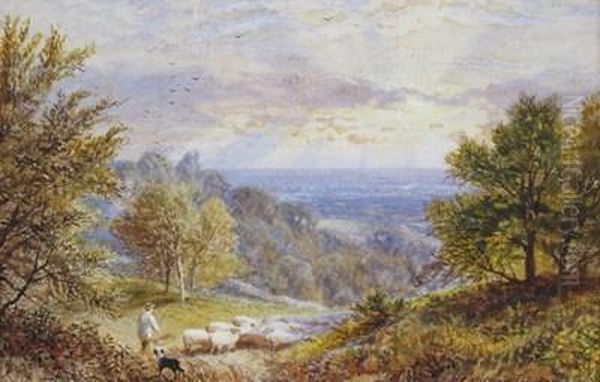 A Shepherd And His Flock On A Hillside - view 1