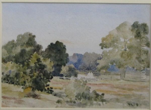 Hayescommon - view 1