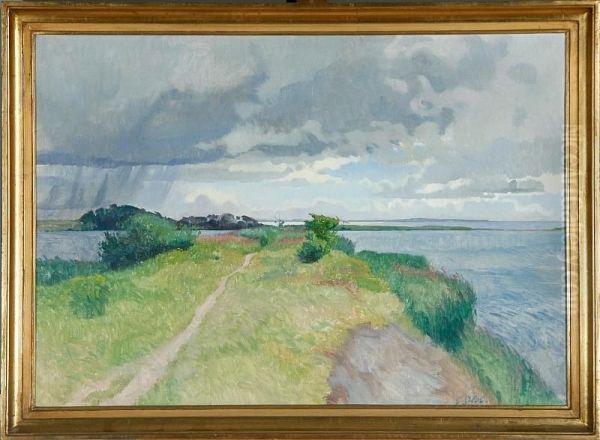 Danish Landscape - view 1