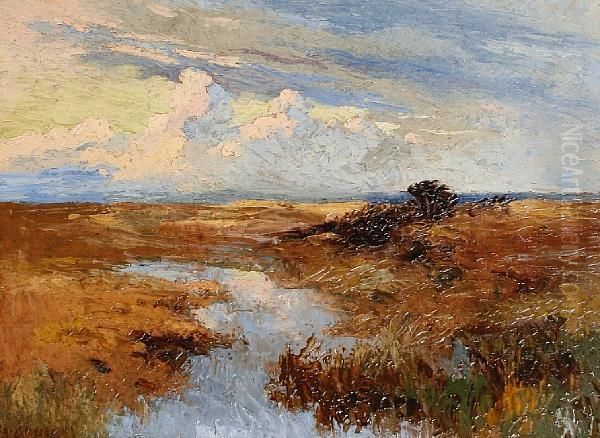 Landscape - view 1