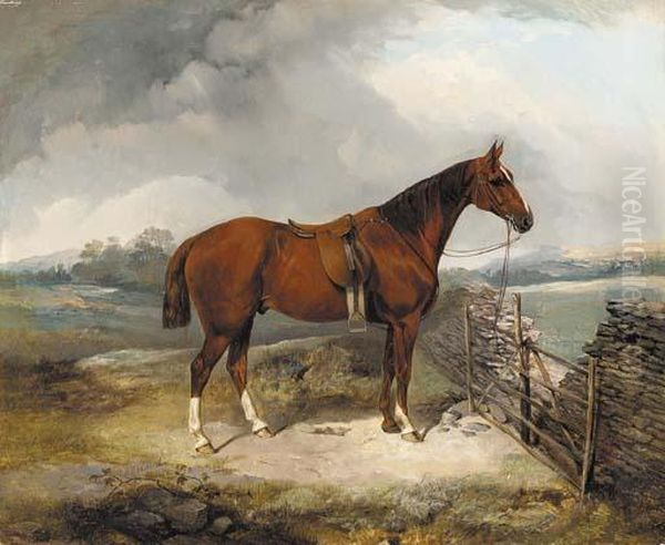 A Bay Hunter By A Gate - view 1