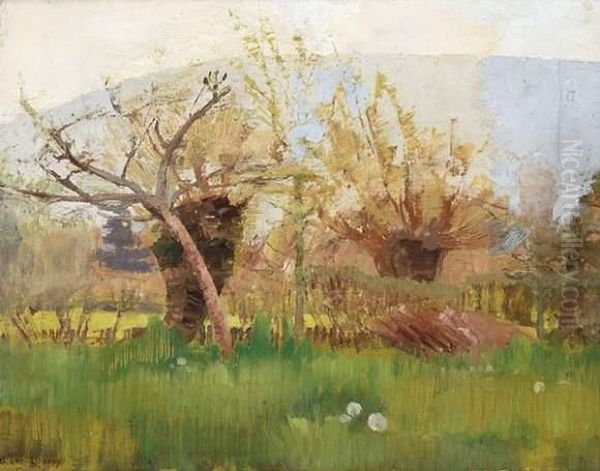 Paysage - view 1