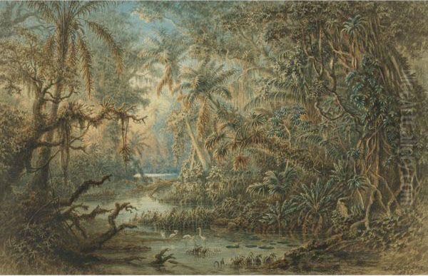 Venezuelan Landscape - view 1