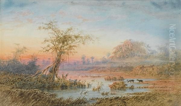 Venezuelan Landscape With Deer - view 1
