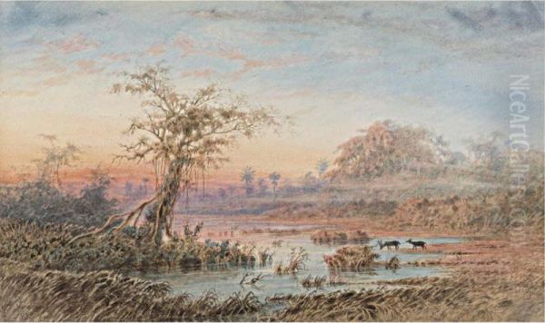 Paisaje De Venezuela - view 1