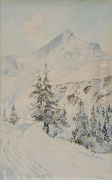 Mountain Snow Scene - view 1