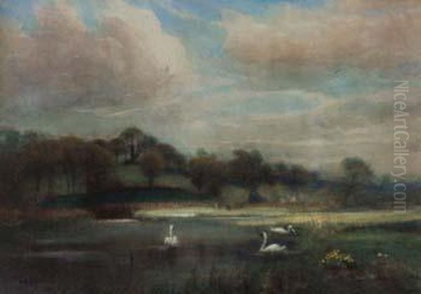 Mill Pond, 
Shaftesbury - view 1