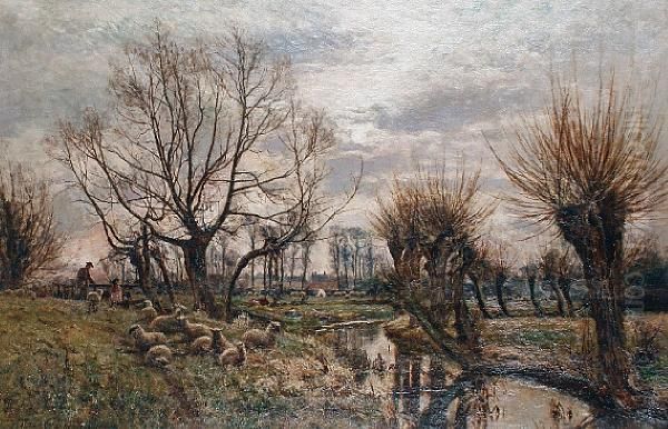 Sheep Resting By A River - view 1