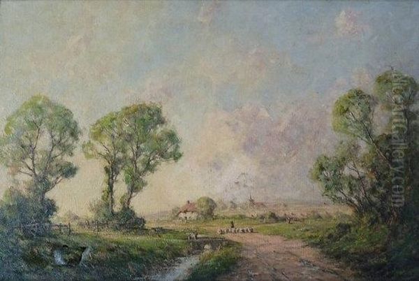 Sheep On A Country Lane - view 1