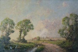 Sheep On A Country Lane
