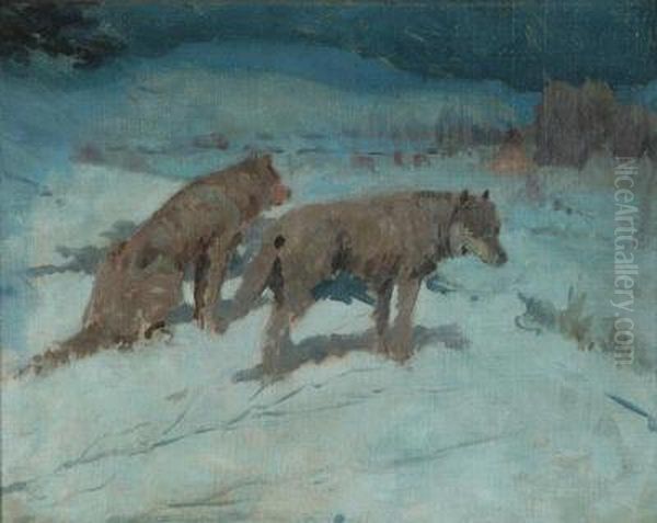 Wolves At Night In Indian Camp - view 1