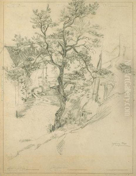 Arbol - view 1