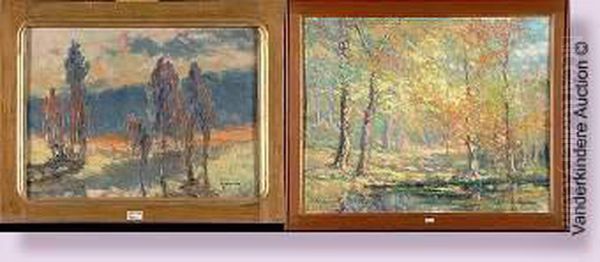 Sous-bois Ensoleille - view 1