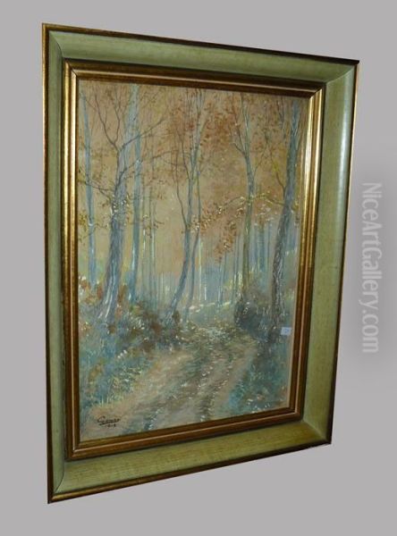 Sentier Dans Les Bois - view 1