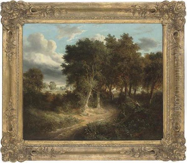 A Road Through The Woods - view 1