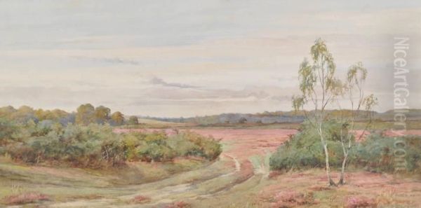 On Brockenhurstcommon - view 1