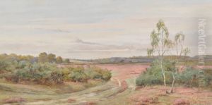 On Brockenhurstcommon