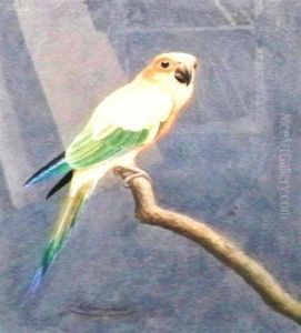 Natural History Studies Of Parrots by H. Goodchild