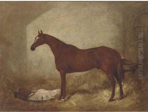 A Racehorse In A Stable A Racehorse In A Stable