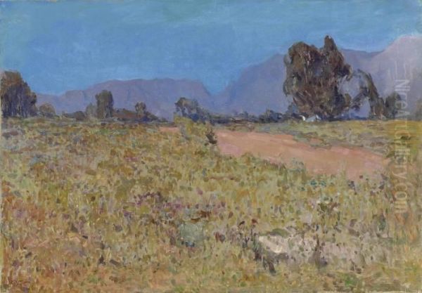 A Cape Landscape - view 1