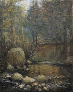 Woodland Stream Woodland Stream