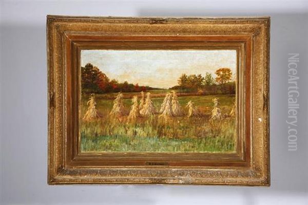 Agricultural Landscape - view 1