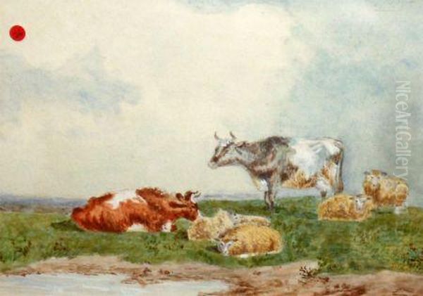 Cattle And Sheep In Landscape - view 1