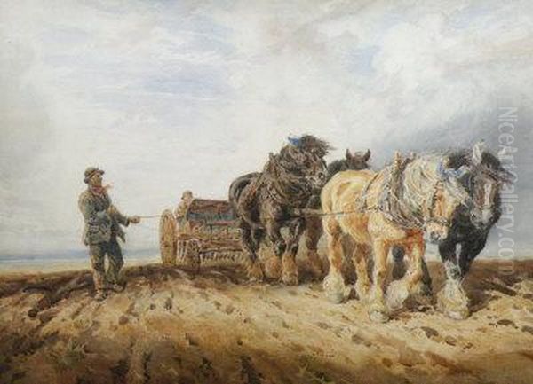 The Plough Team - view 1