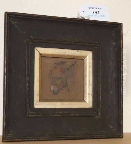 Study Of A Donkey's Head - view 1