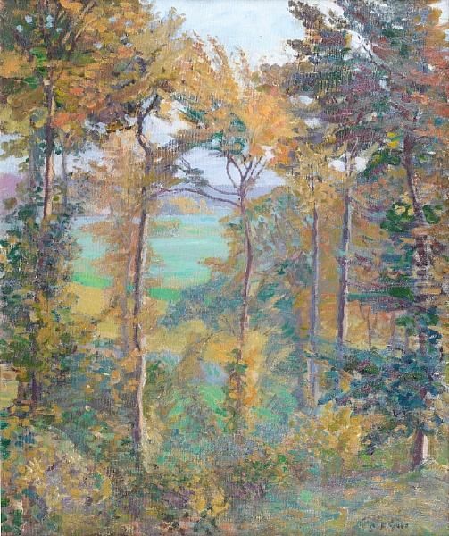 Wooded Landscape At Tibermont, Neuville Lesdieppes - view 1