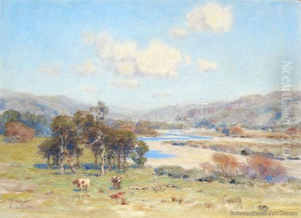 Near Silverstream - view 1