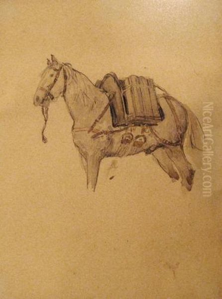Horse - view 1