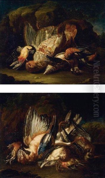 Game Birds - view 1