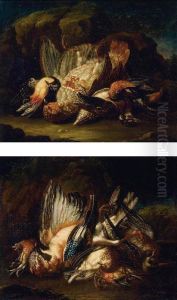 Game Birds by Alessandro Gori