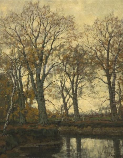 A Lake In The Forest - view 1