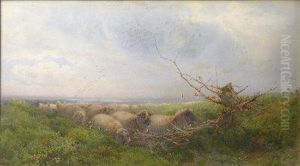 Going Astray Going Astray