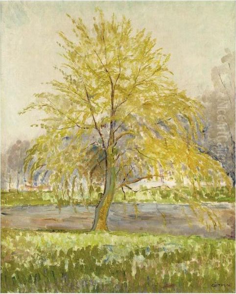 A Willow Tree - view 1