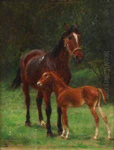 La Jument Et Son Poulain